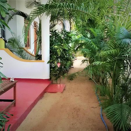Surf & Sand Hotel Arugambay 阿鲁甘湾 外观 照片